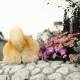 Illustration for article titled Here, Have Some Dog Butt Curry